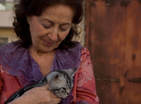 Mrs. Moscowitz and the Cats